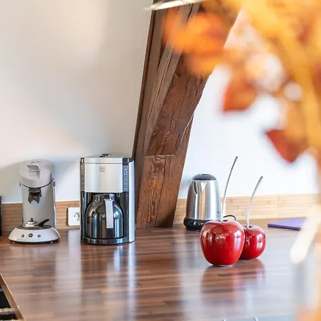 Apartament Grand T4 Avec Terrasse & Parking Les Vieux Toits De *